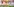 Die Spieler des 1. FC Köln