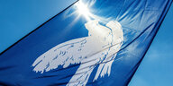 Weiße Friedenstaube auf blauer Fahne im Sonnenlicht