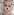 Ein Bild der Autorin mit dem Snapchat-Hundefilter