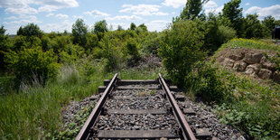 Ein Bahngleis endet im Nichts, rundherum sind Büsche und Bäume zu sehen.