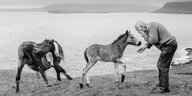 Ein Mann füttert zwei Pferde vor einem See