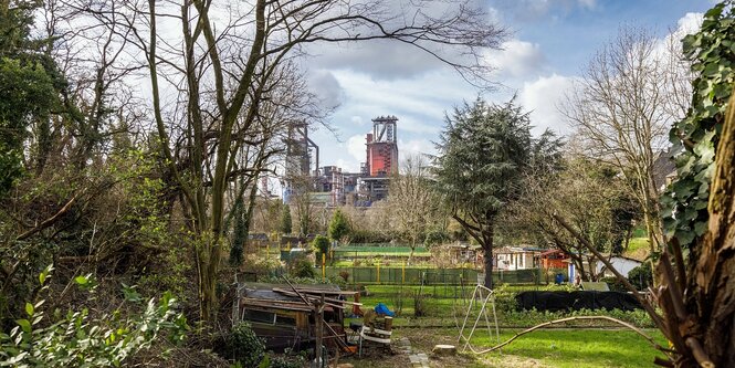 Kleingarten vor Industriekulisse