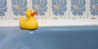 Eine gelbe Badeente auf einer blauen Badewanne