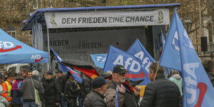 Männer mit AfD- und Deutschlandflaggen