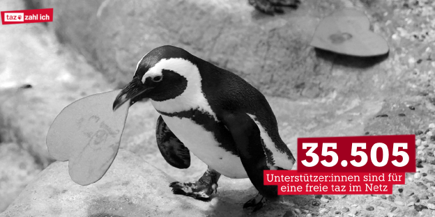 Ein Pinguin hat ein Papierherz im Schnabel und läuft über einen Stein. Daneben steht: 35.505 Menschen unterstützen die taz im Netz