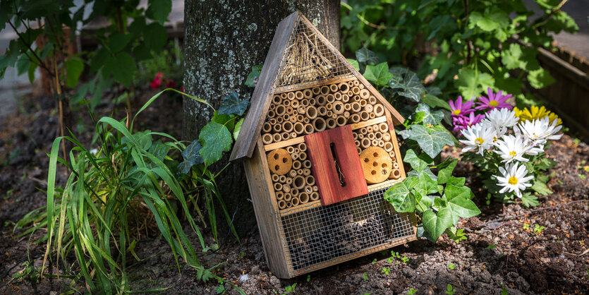 Insektenhotel