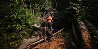 Ein Mann steht auf dem Stamm eines abgeholzten baumes