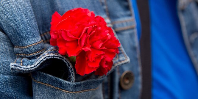 Eine rote Nelke in der Brusttasche einer Jeansjacke