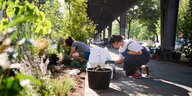 Menschen knien unter dem Hochbahnviadukt und kümmern sich um Pflanzen