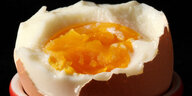 Ein gekochtes, aufgeschlagenes Ei