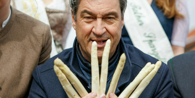 Markus Söder hält Spargel in den Händen