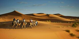 Geführte Kameltour in den Sanddünen