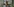 Portrait eines alten Mannes