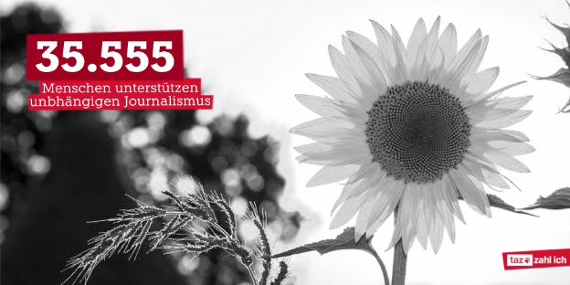 Ein Bild von einer Sonnenblume. Daneben steht "35.555 Menschen unterstützen unabhängigen Journalismus"