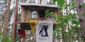 Vermummter Aktivist schaut aus einem Baumhaus an dem Banner und Fahnen hängen