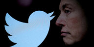 Der blaue Twittervogel und ein seitliches Porträt des Millardärs Elon Musk