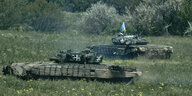 2 Panzer mit ukrainischer Flagge in einem blühenden Feld