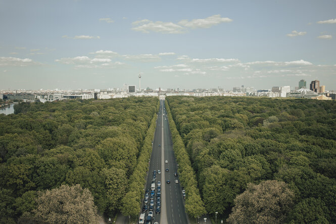 Blick über den Tiergarten von der Siegessäule Richtung Brandenburger Tor