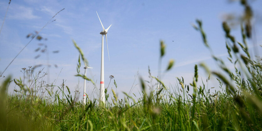 Windräder drehen sich auf einem Feld