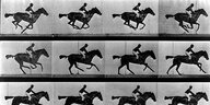 Eine historische Aufnahme eines Reiters von der Seite, mehrere Aufnahmen hinter- und untereinander