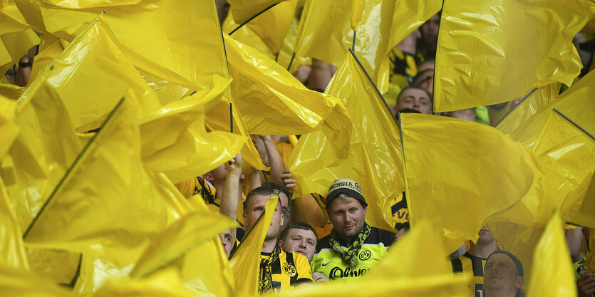 Fußballfans zwischen gelben Fahnen