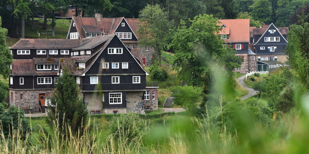 Die Häuser der Odenwaldschule im Grünen