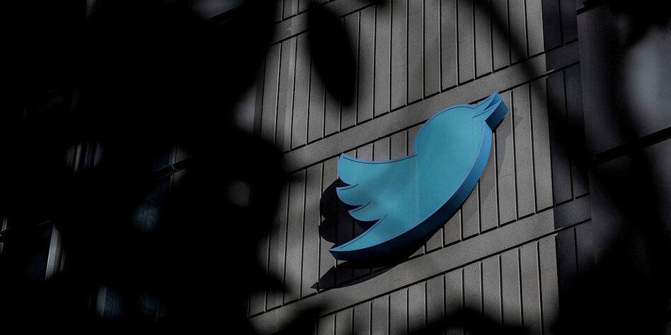 Twitter and disinformation: No more against disinformation