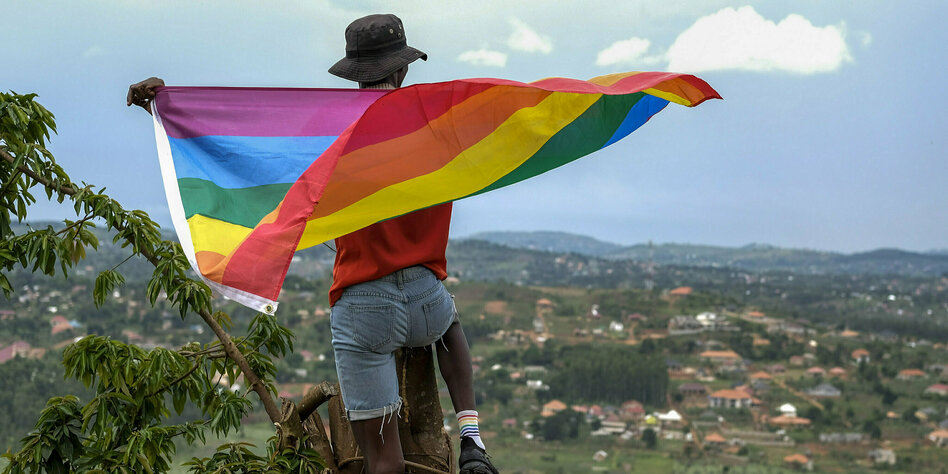Eine in eine LGBTIQ-Fahne gehüllte Person schaut über ein Tal
