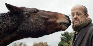 Ein Pferd streckt den Hals zu einem Mann, der hinter dem Zaun steht und atmet in sein Ohr