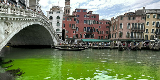 Grün schillerndes Wasser: an der Rialto Brücke in Venedig stehen viele Menschen