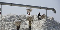 Baumwollernte in Indien