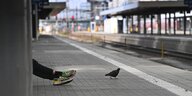 Taube und Beine eines Reisenden auf einem leeren bahnsteig