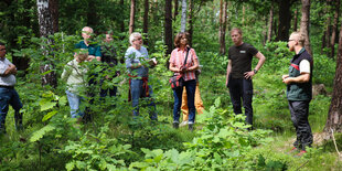 Eine Gruppe im Wald