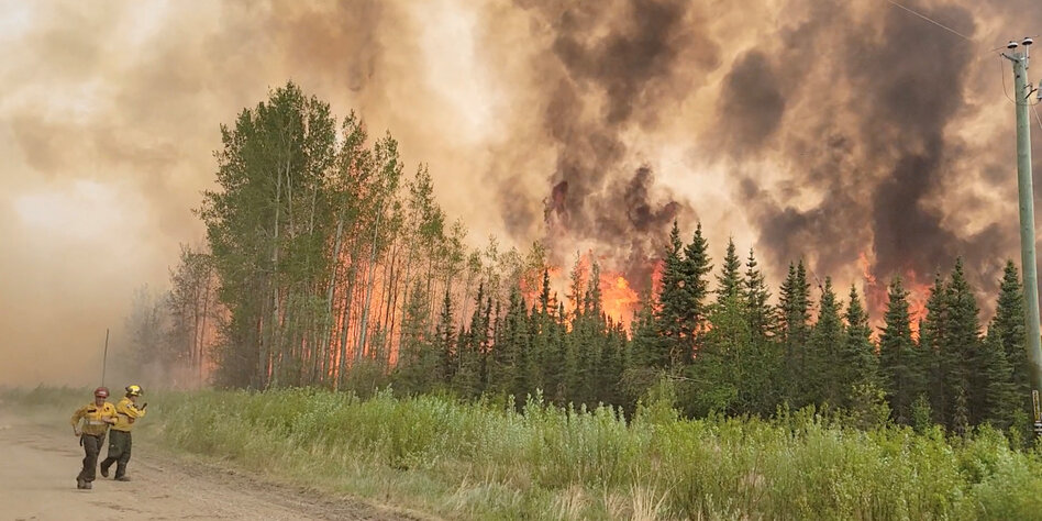 Forest fires in Canada: Foreign fire brigades help to extinguish them