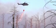 Ein Hubschrauber fliegt über brennenden Bäumen