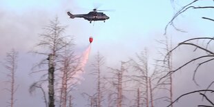 Ein Hubschrauber fliegt über brennenden Bäumen