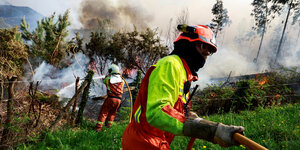 Zwei Feuerwehrleute löschend mit Wasserschläuchen in einem brennenden Wald