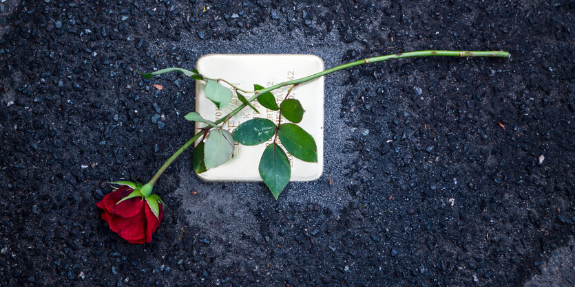 Eine Rose liegt auf einem Stolperstein