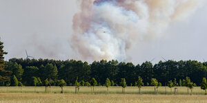 Ein Löschflugzeug ist am Freitag in der Rauchsäule über dem Waldbrand bei Jüterbog kaum zu erkennen