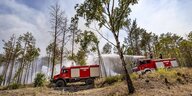 Feuerwehreinsatz bei einem Waldbrand