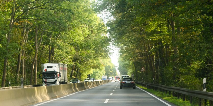 Die vier Fahrspuren des Südschnellweges umgeben von dichtem grünen Baumbestand.