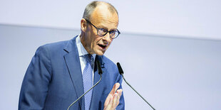 Friedrich Merz spricht in ein Mikrofon