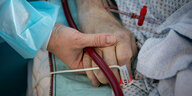 Die Hand einer Krankenschwester hält die Hand eines Intensivpatienten