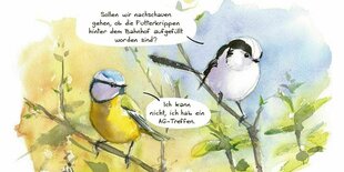 Abbildung aus dem besprochenen Comic