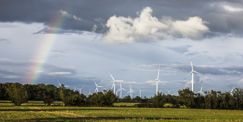 Windräder auf einem Feld vor einem Regenbogen