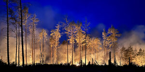Flammen erhellen am späten Abend ein Waldstück nahe Jüterbog