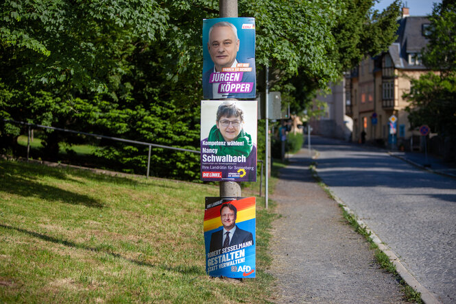 Wahlplakate am Laternenmast mit AfD Plakaten