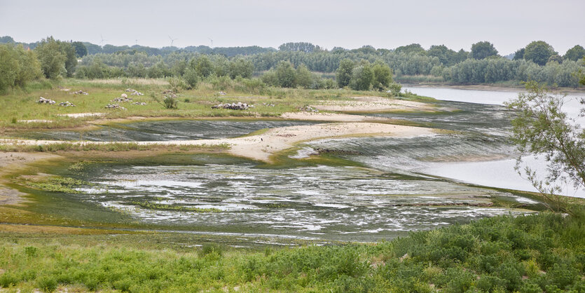 Flachwassergebiet Kreetsand