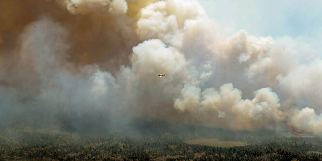 Ein sehr großer Waldbrand