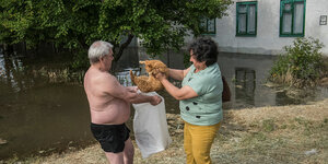 Ein Mann und eine Frau retten eine Katze